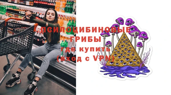 соль ск Алзамай