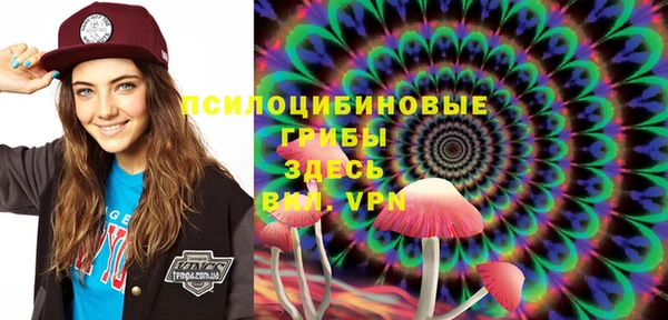 экстази Алексин