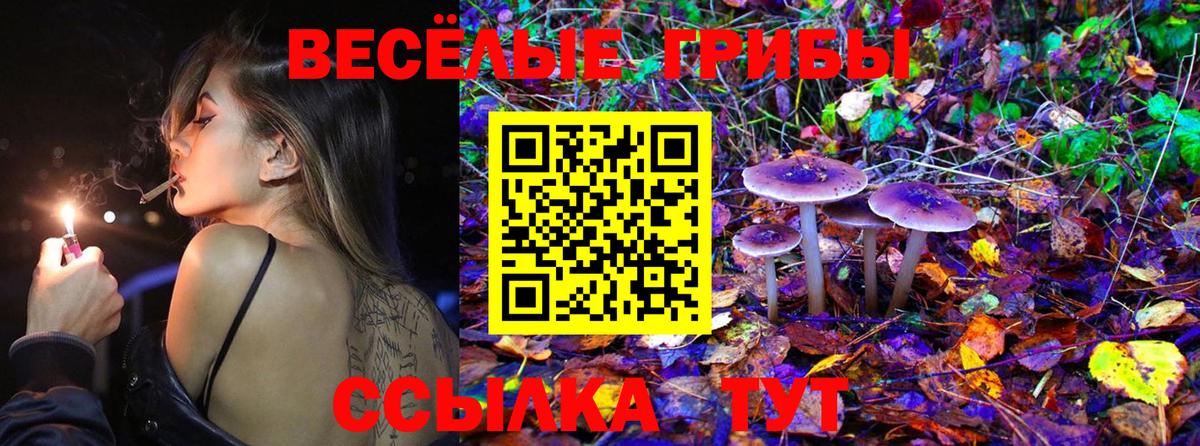 Псилоцибиновые грибы MAGIC MUSHROOMS Алексин